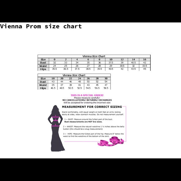 Style 8515 Vienna Prom - Picture 4 of 4